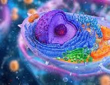 مدر س بيولوجي /Biology Teacher/مناهج امريكيه وبريطانيه/Act two 3
