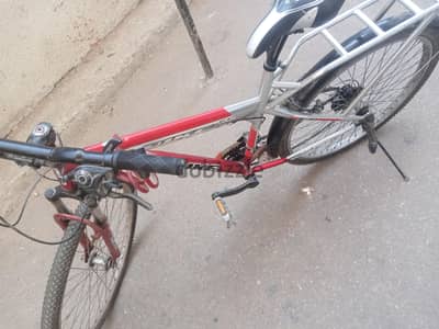 الاسكندريه