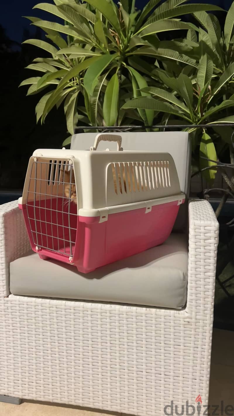 Pink & White Cat Carrier 1