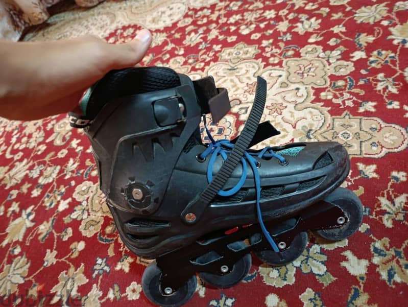 skate cougar 509 1