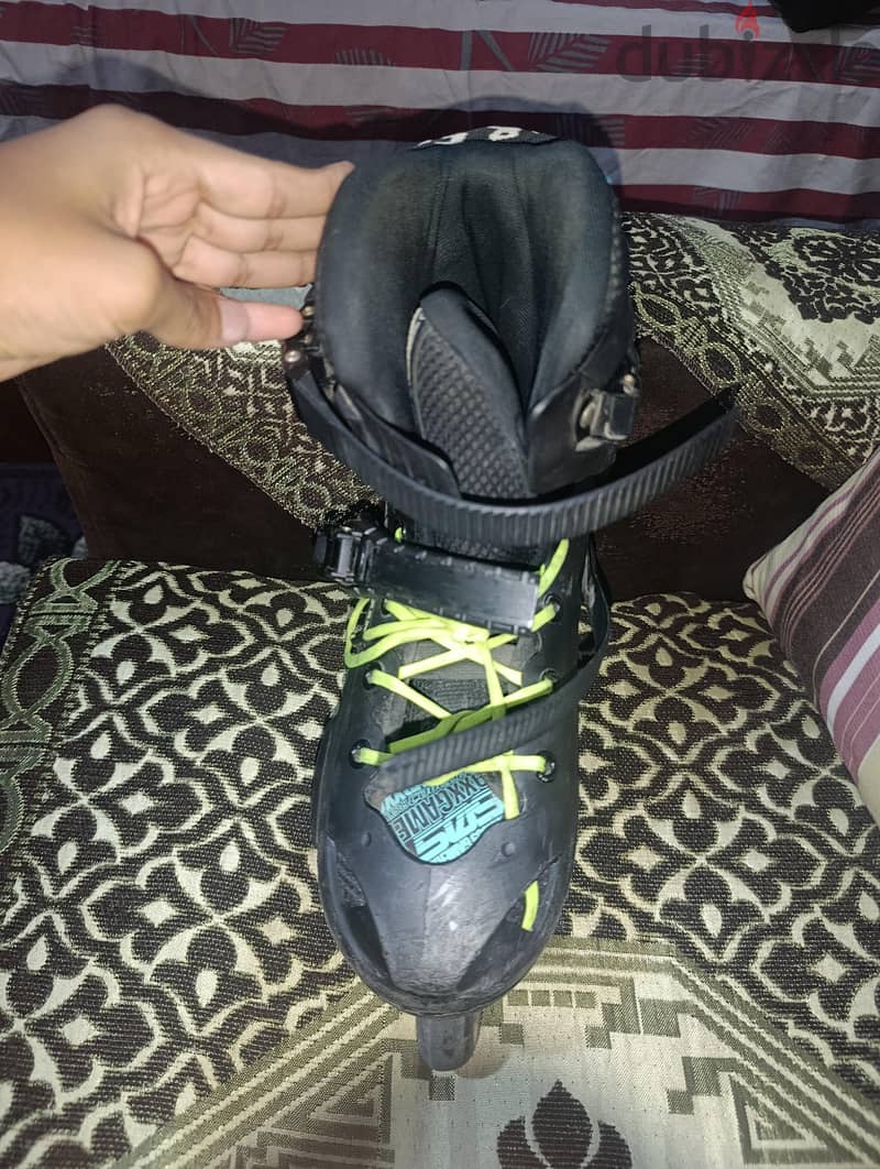 skate cougar 509 2