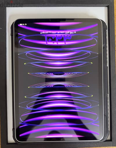 Ipad pro m2 4th generation 128 gb battery 100%