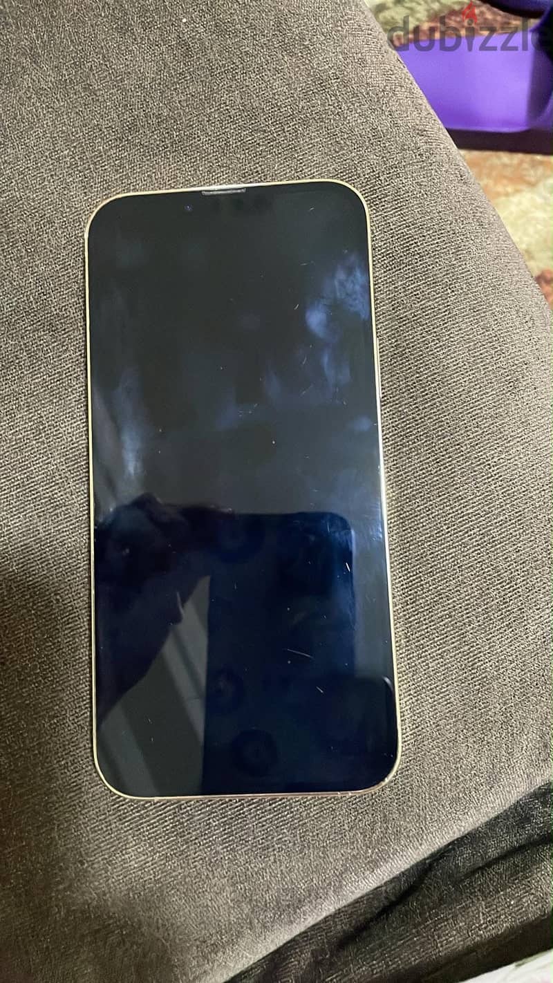 Apple - iPhone 13 Pro Max 1
