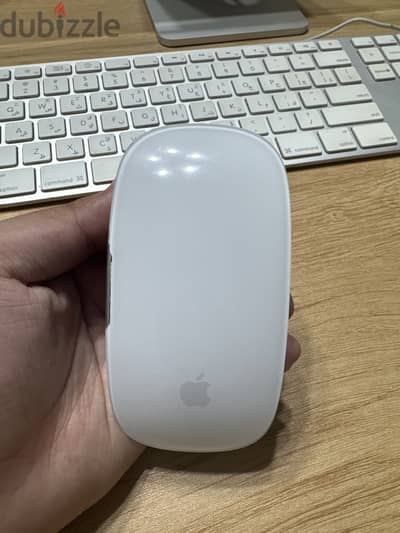 Magic mouse 2