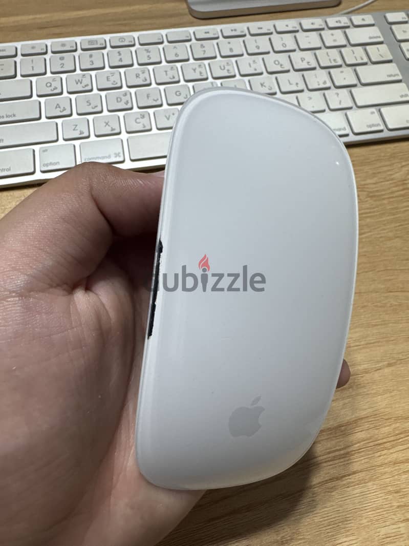 Magic mouse 2 1