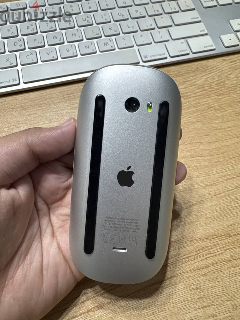 Magic mouse 2 2