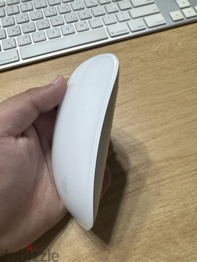 Magic mouse 2 3