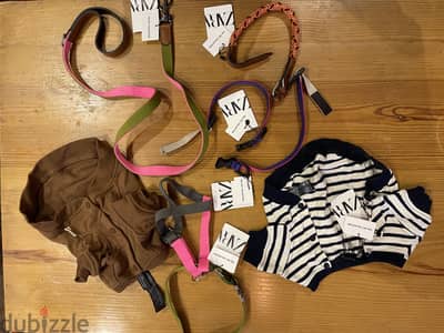Zara dog accessories: collars and clothes