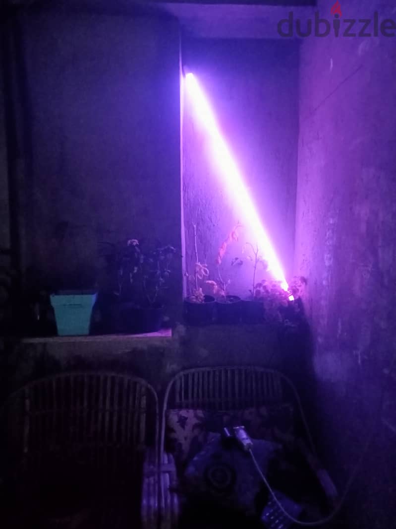LED RGB 5