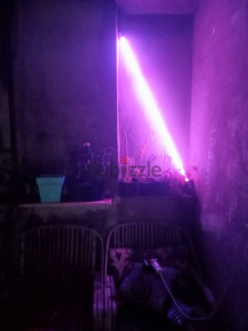 LED RGB 6