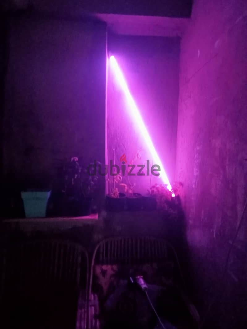 LED RGB 7