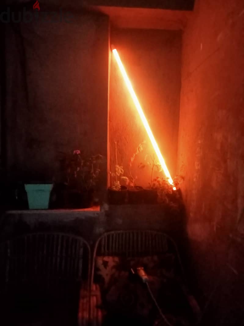 LED RGB 10