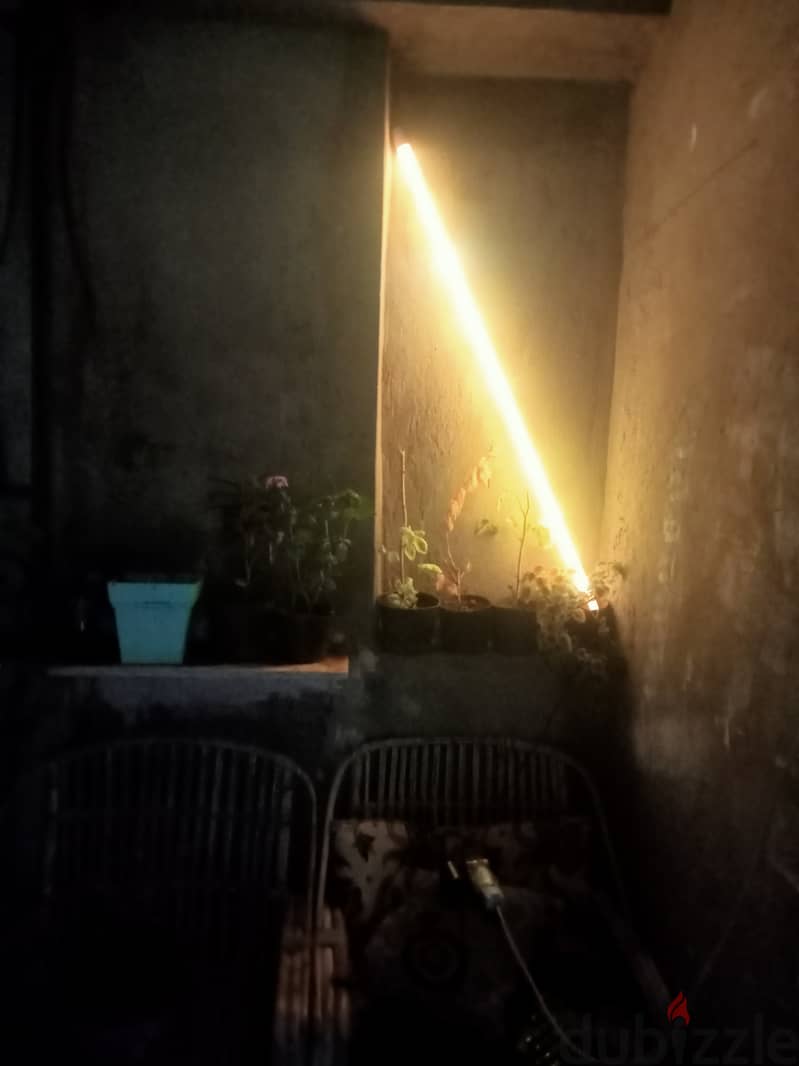 LED RGB 12
