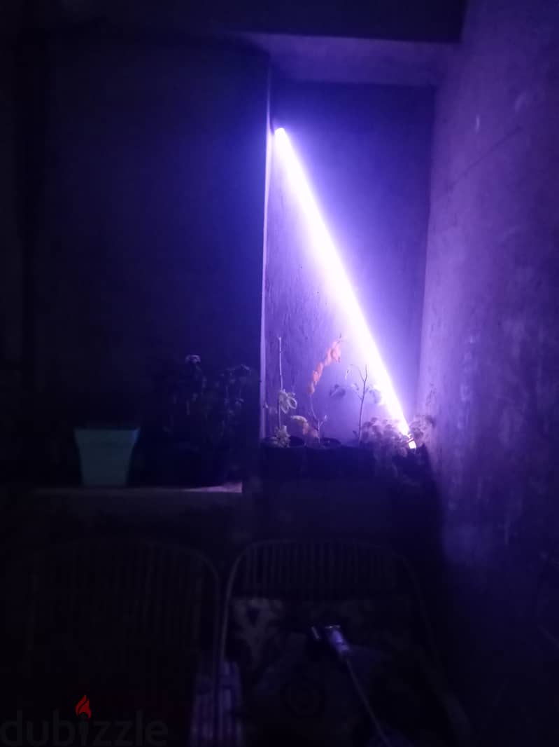 LED RGB 13