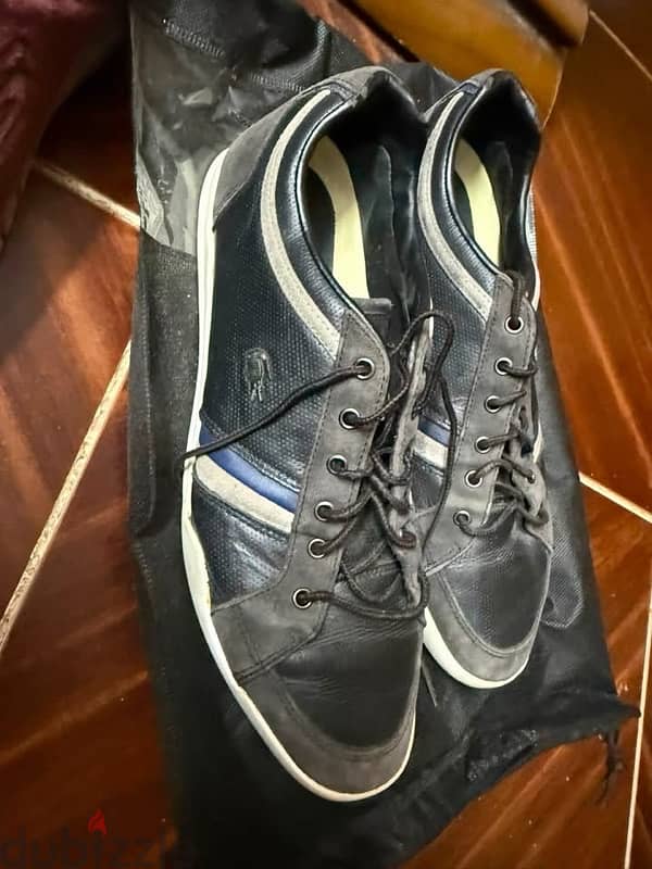lacoste size 45 1