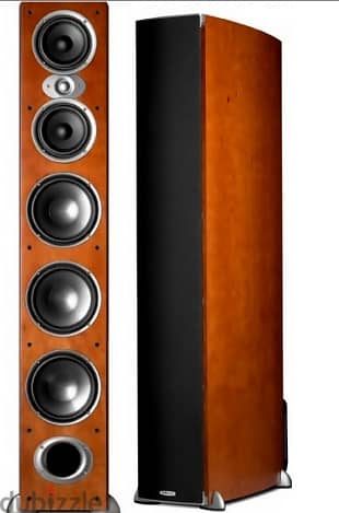 polkaudio rti a9 speakers