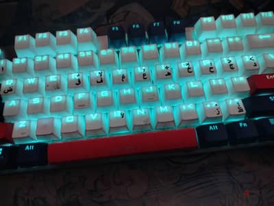 Phillips keyboard mechanic