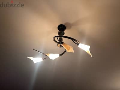 Elegant Lighting