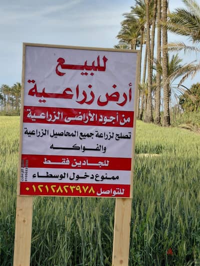 أرض زراعية للبيع فى دمياط - كفر البطيخ - قرية الركابية