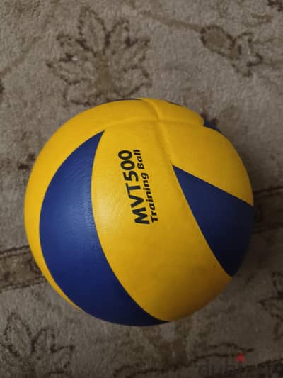 volleyball