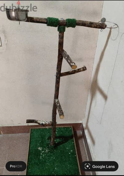 ستاند بغبغان - stand