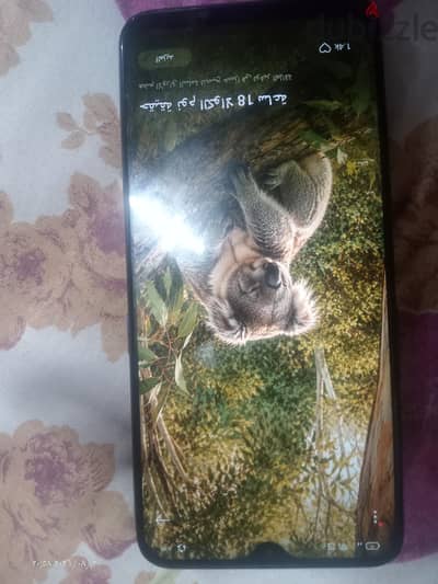 اوبو اف 11