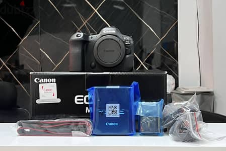 Canon R6 mark 2 shutters 6 K