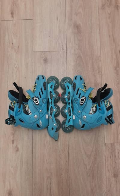 skate cougar 313