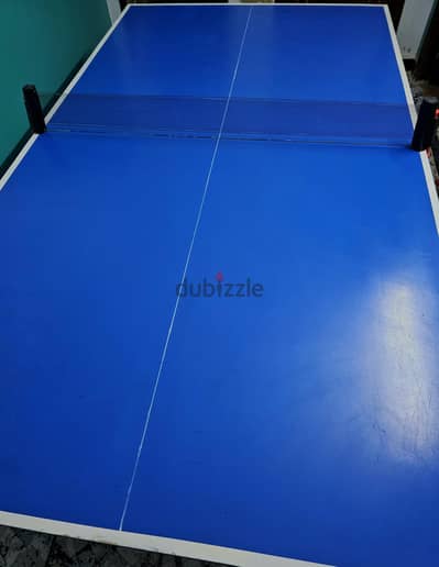 table tennis table