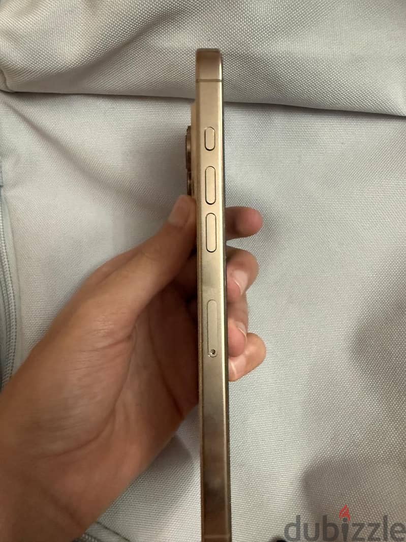 iPhone 16 Pro Max 256 GB 3