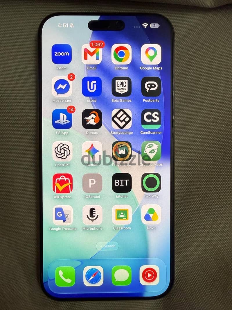iPhone 16 Pro Max 256 GB 6