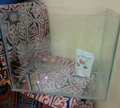 حوض 50
