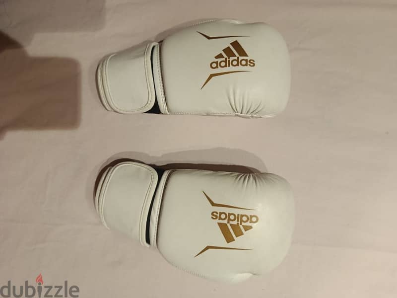 Head gear & kick boxing gloves 1