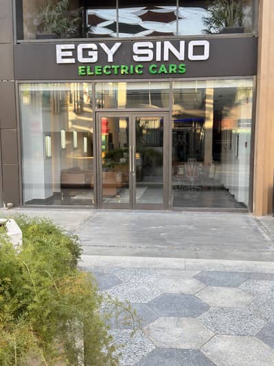egy sino electric cars