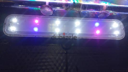 مطلوب كشاف حوض السمك