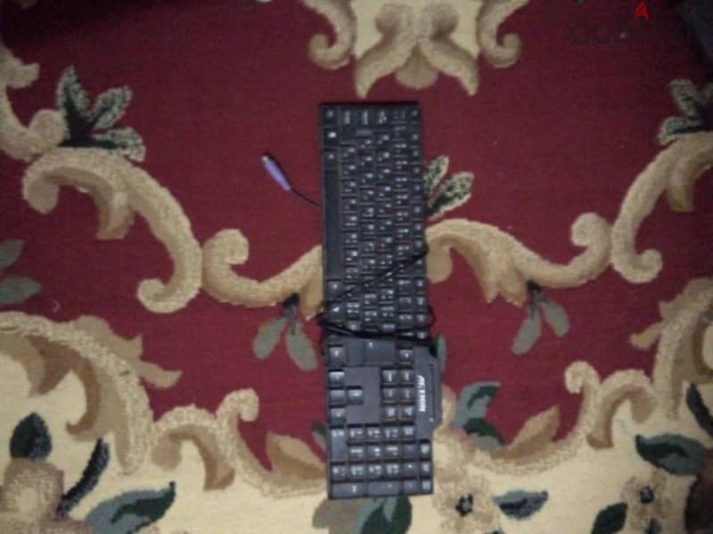 hsvsvsh 1