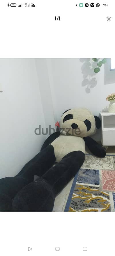 دبدوب