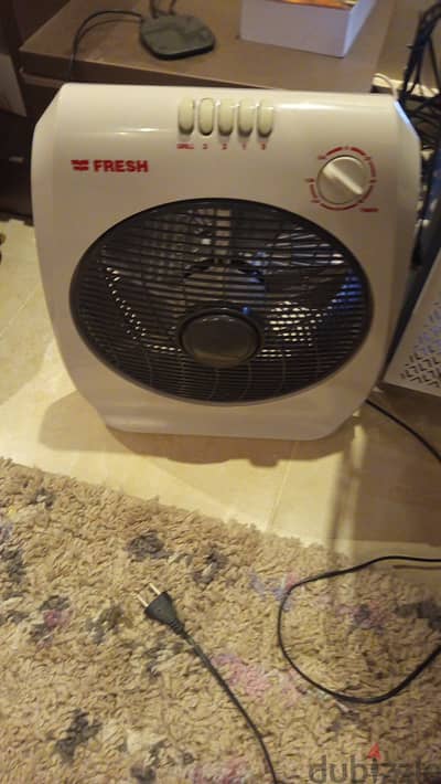 Fresh Boxer Fan 12 Inch