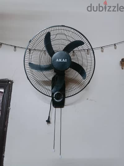 فرصه جامده