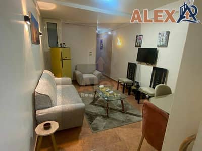 Furnished studio for rent in Rasheed, Syria Street