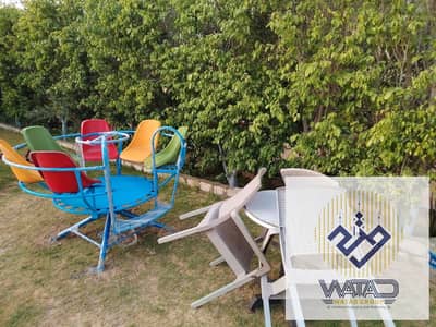 طريق اسكندريه الصحراوي