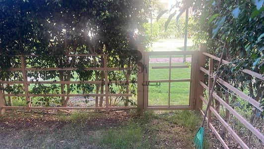 GROUND FLOOR APARTMENT WITH PRIVATE GARDEN | MADINATY B2