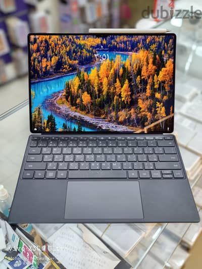mate pad pro 13.2