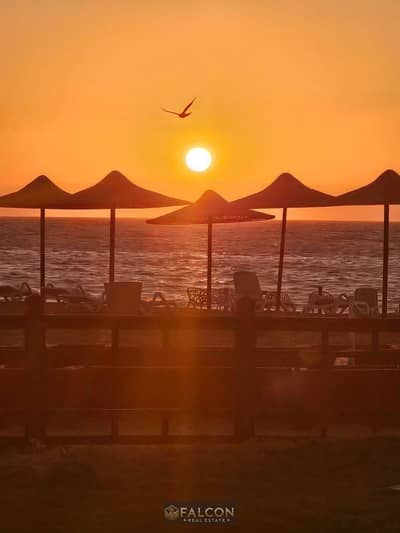 VIP beachfront chalet at Blue Blue Resort, discounted for a limited time. Minutes from Porto Sokhna and Zaafarana Road.