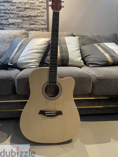 Acoustic guitar