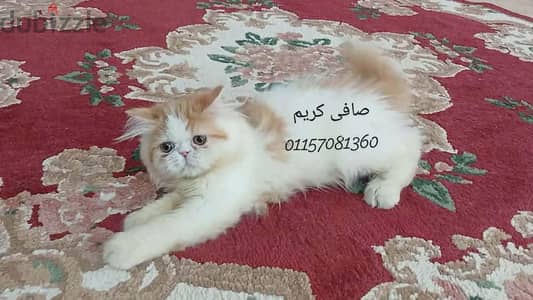 ذكر فان ريد زورار