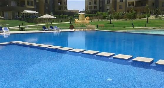 Furnished Studio for Rent in Palm Parks with 200m Terrace | Pool View