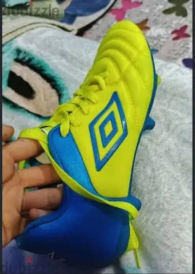 استار أمبرو اوريجنال