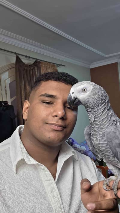 Ammar Abdelal