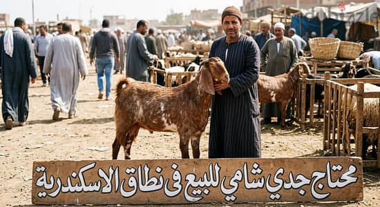 فؤاد سليمان